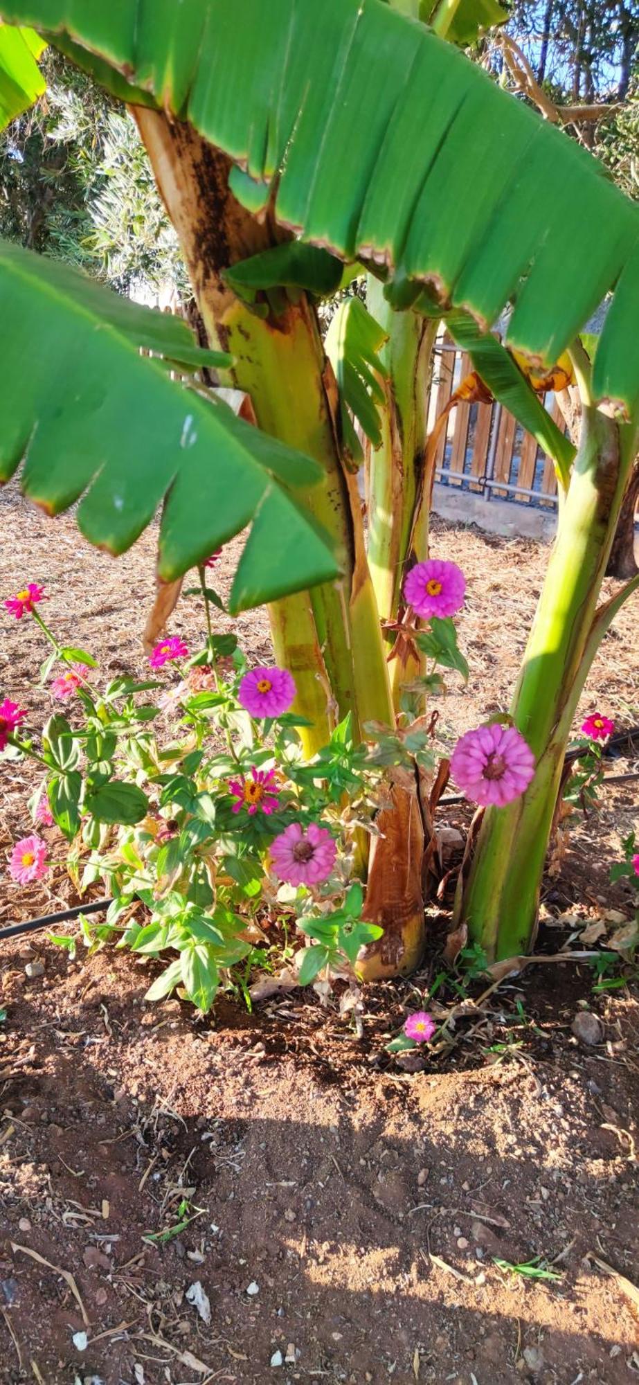 Appartamento Casita Leos Agüimes Esterno foto