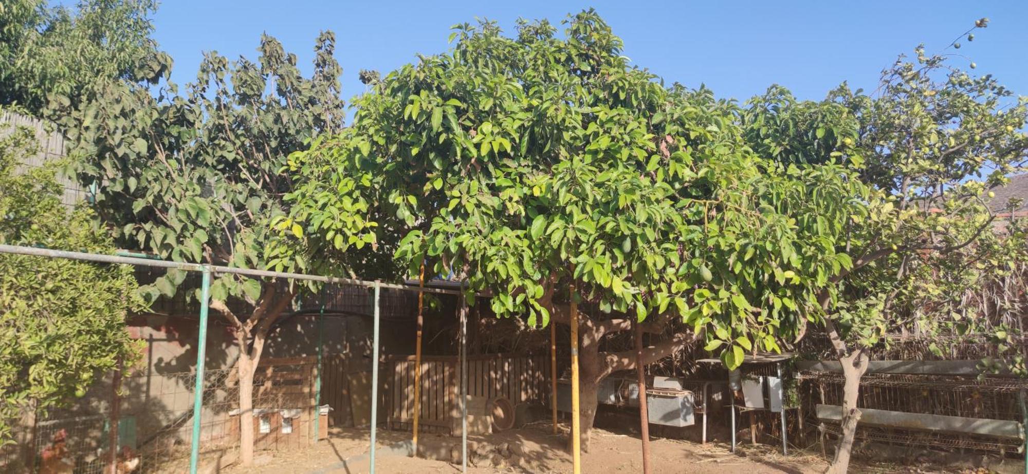Appartamento Casita Leos Agüimes Esterno foto